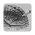 Acidez Mental